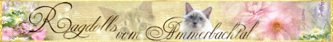 ammerbachtal-banner-02